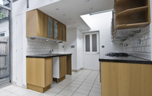 Hanningfields Green kitchen extension leads